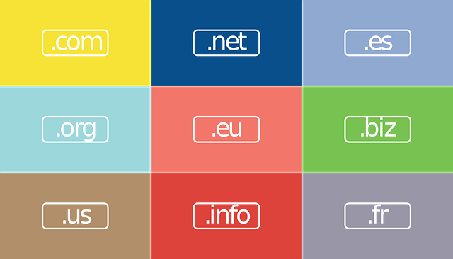 image of .com .net, .es, .org, .eu, .biz,.info, .fr in a 9 grid layout